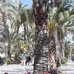 San Nicolás Vendégház Alicante