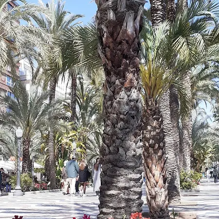 San Nicolas Maison d'hôtes Alicante