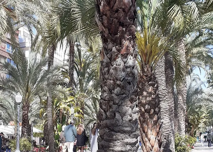 San Nicolás Affittacamere Alicante